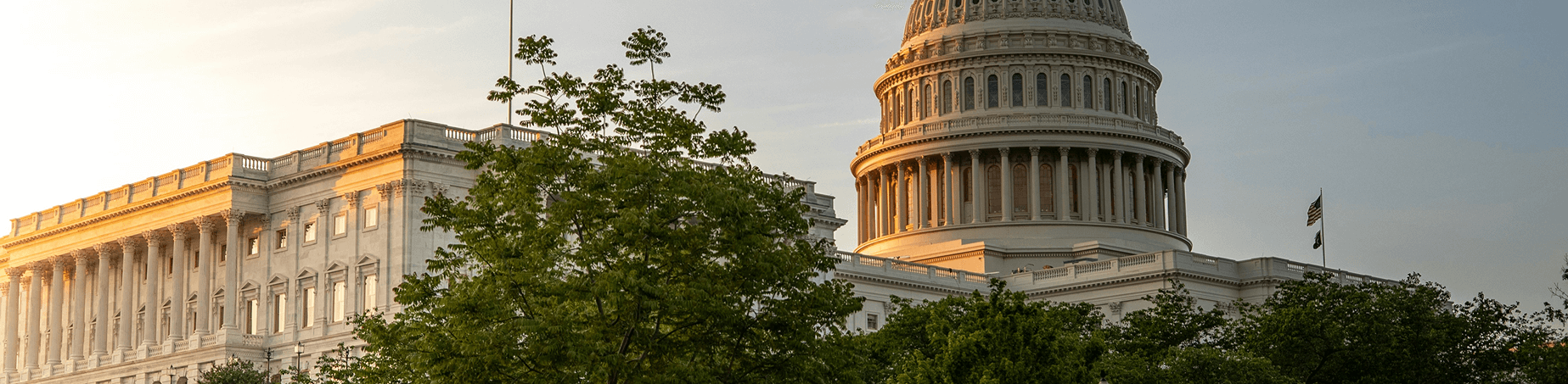 Government & Military Bus Rental | Phoenix Transportation San Francisco