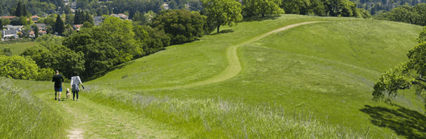Las Trampas Regional Wilderness