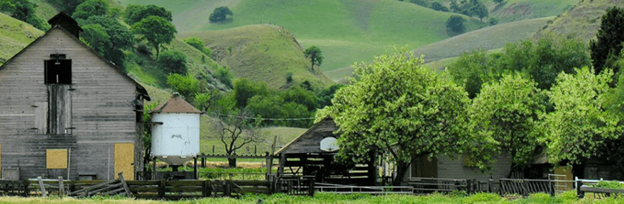 Black Diamond Mines Regional Preserve