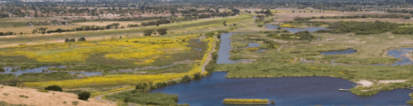 Coyote Hills Regional Park