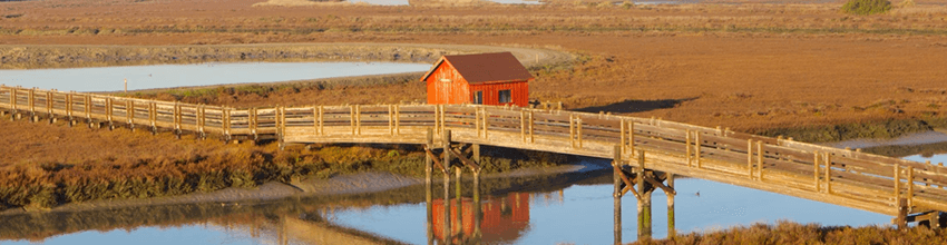 Don Edwards San Francisco Bay National Wildlife Refuge