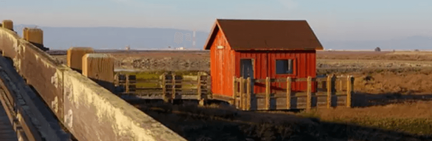 Don Edwards San Francisco Bay National Wildlife Refuge