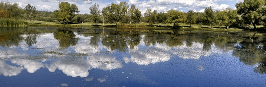 Walnut Creek Open Space