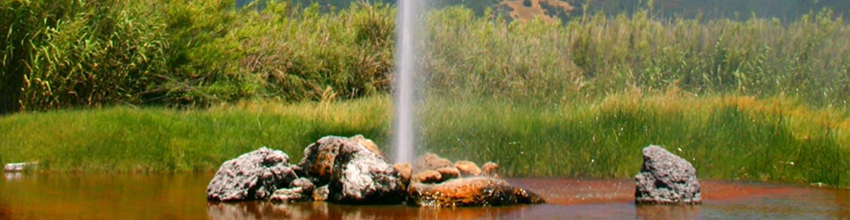 Old Faithful Geyser of California