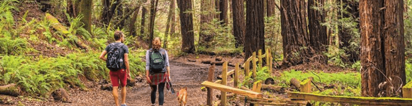 Redwood Regional Park