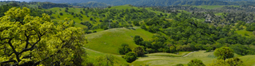 Walnut Creek Open Space