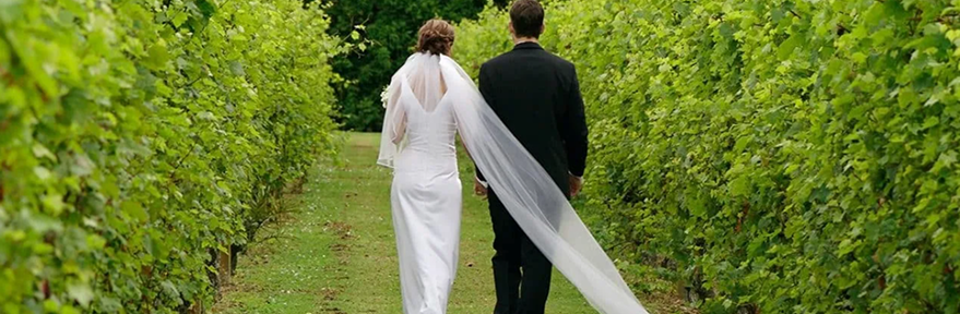 Wedding Transportation in Napa