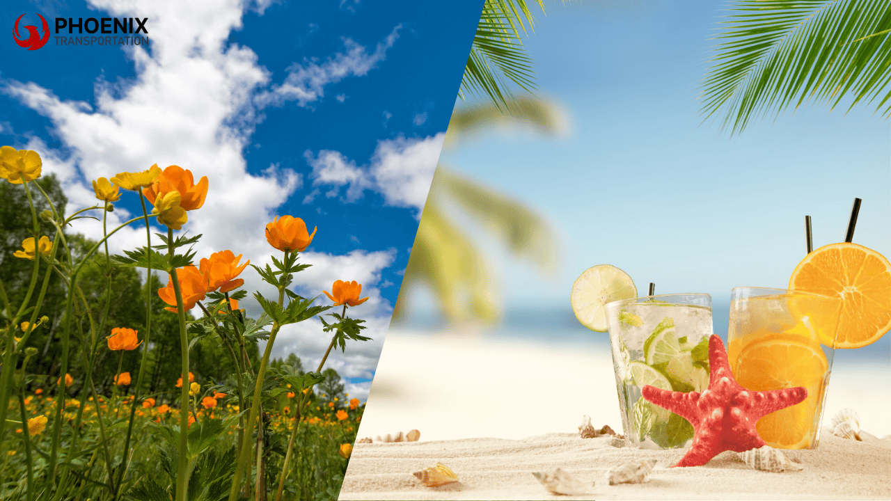 SF Bus Rental Seasonal Demand Explained Why Spring & Summer Drive Prices