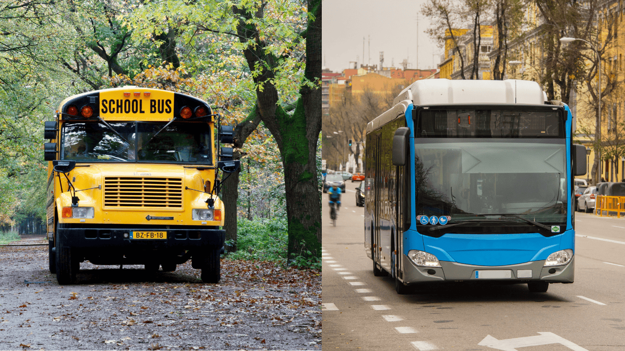 School Bus vs Charter Bus: Find Out Which Is Best for Students