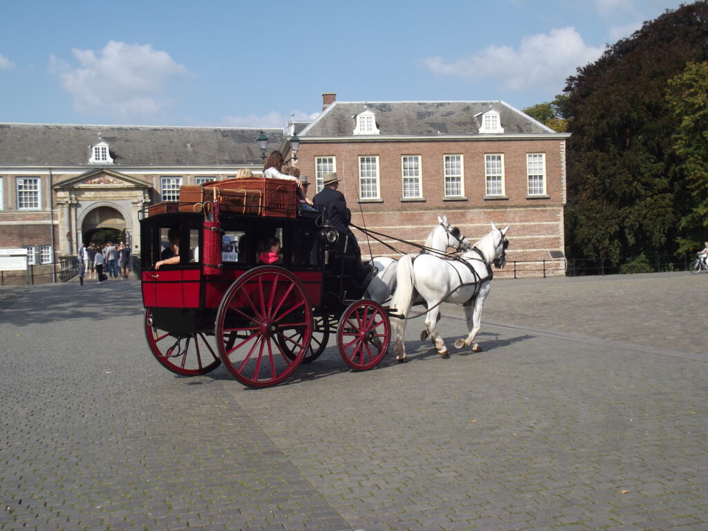 Horse-Drawn Omnibuses