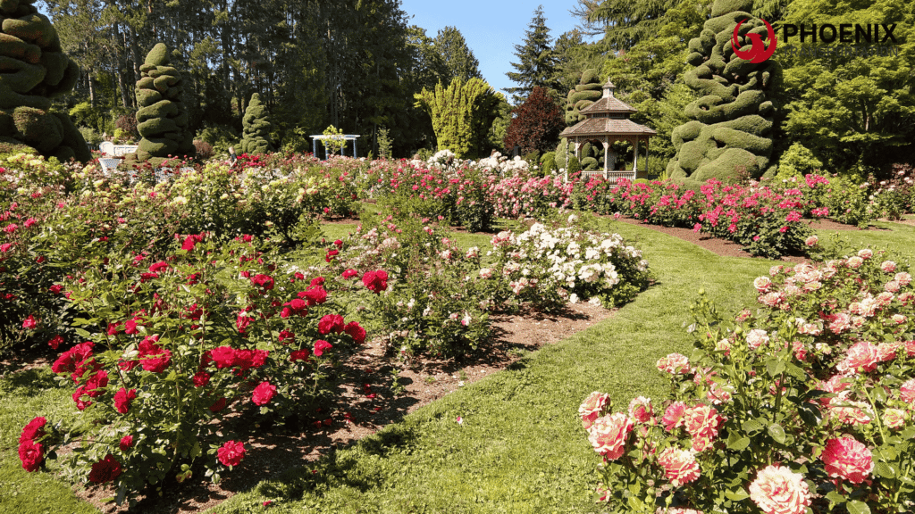 San Jose Municipal Rose Garden