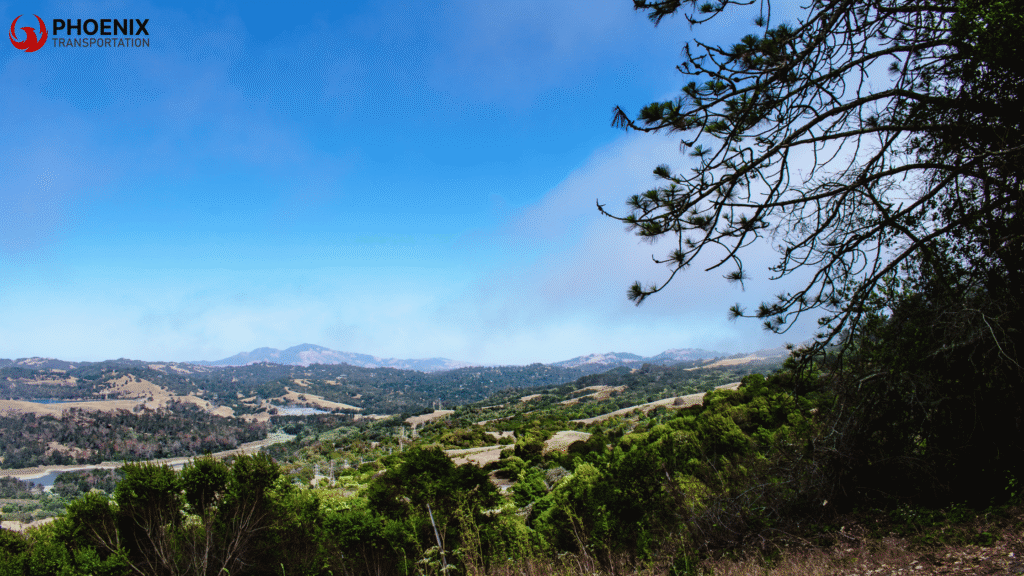 Tilden Regional Park