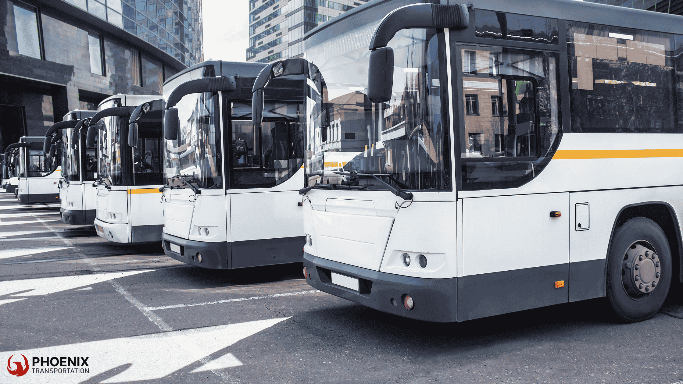 Ultimate Guide to Bus From Berkeley to San Francisco Travel | Phoenix Transportation
